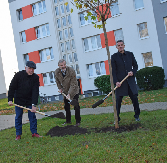 Unsere Wohnungen in Wismar